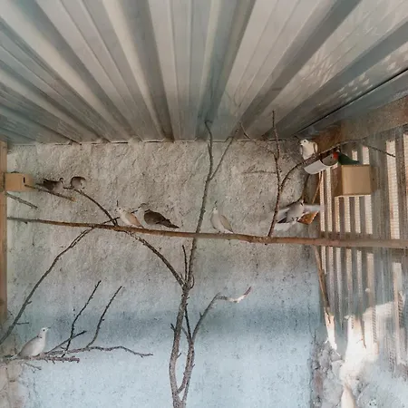 Casa Da Cerca-suite Aconchegante Com Piscina 3*