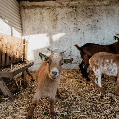 Casa Da Cerca-suite Aconchegante Com Piscina