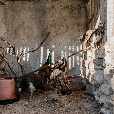 Bed & Breakfast Casa Da Cerca-suite Aconchegante Com Piscina 3*